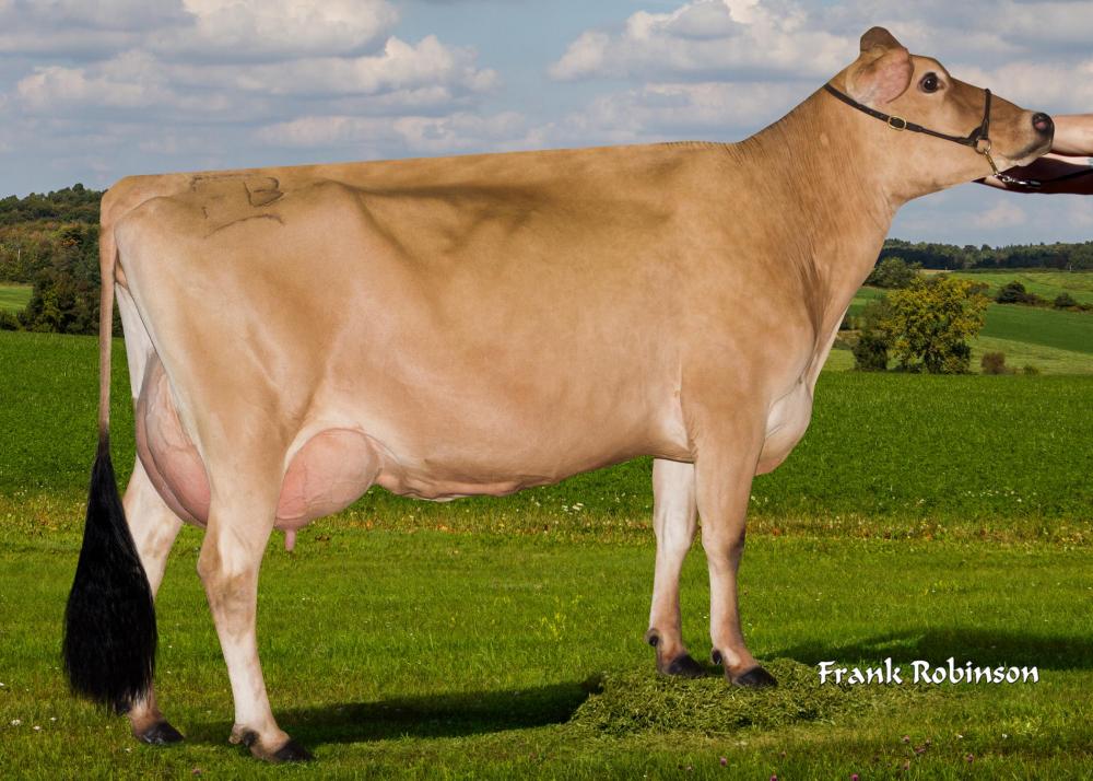 Faria Brothers Harris Wallace VG-85 (Mutter)