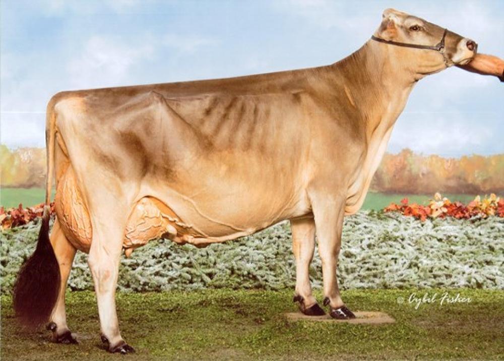 Cutting Edge T Delilah EX-95 (Mutter)