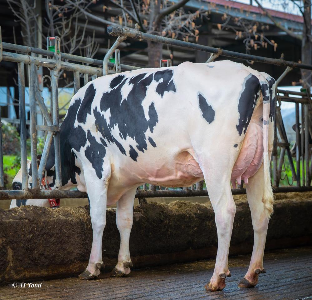 Gan Etxeberri Quality 2009