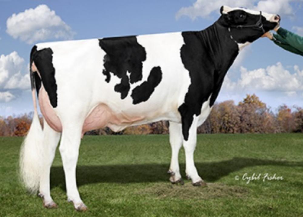 Aot Mont Haseverything EX-90 (3. Mutter)