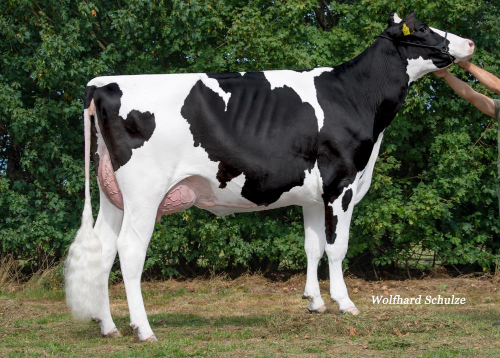 Iske VG-86 (Großmutter)