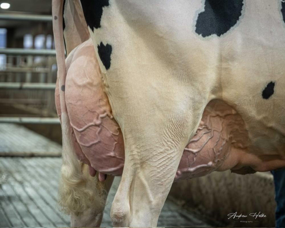 OCD Weelhouse Rae 68559 EX-91 (Mutter)