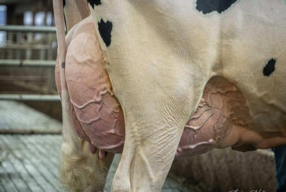 OCD Weelhouse Rae 68559 EX-91 (Mutter)