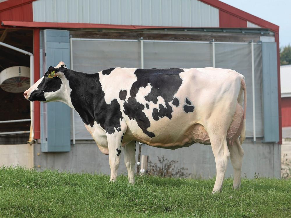 AOT Deluxe Hi-Lighted EX-91