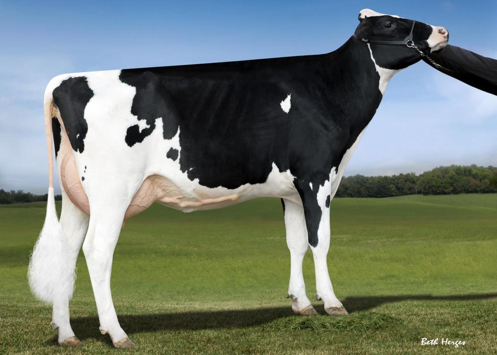 MS Delicous Nom 60087 VG-88 (4.Mutter)