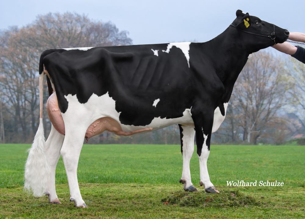 Heiderot GP-84 (Mutter)