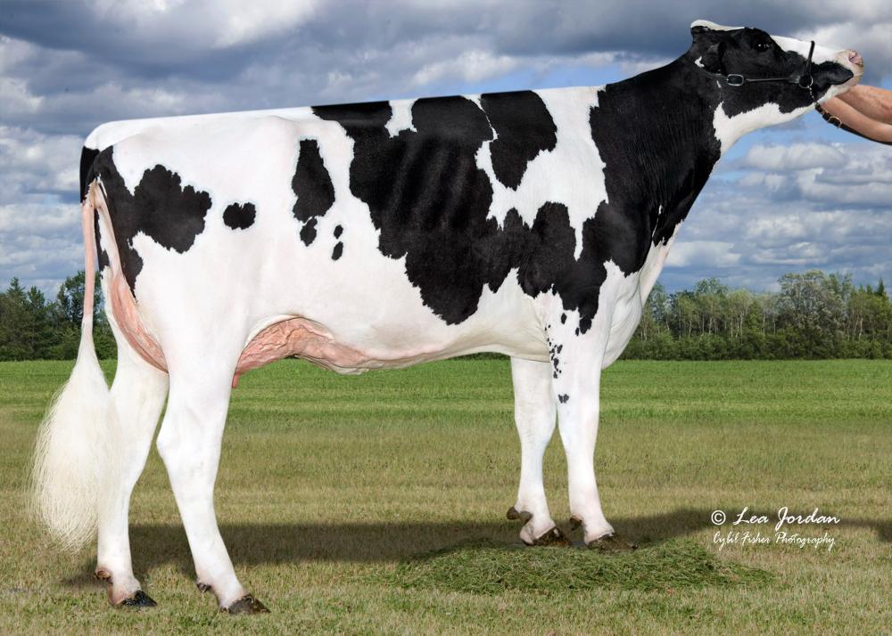 Aurora Ssi Megaluck 9040-ET VG-87 (4. Mutter)