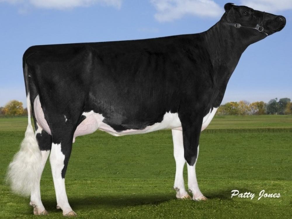 Freurehaven FGS Lucy VG-85 (7. Mutter)